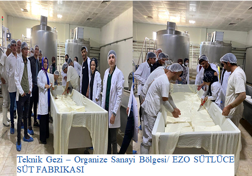 Teknik Gezi – Organize Sanayi Bölgesi/ EZO SÜTLÜCE SÜT FABRİKASI