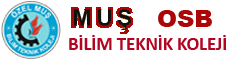 Web Site Logo
